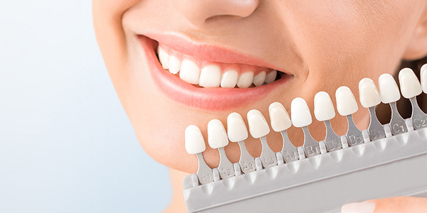 Υπηρεσίες Τσίμπας Γ. Σεβαστός