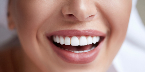 Υπηρεσίες Τσίμπας Γ. Σεβαστός